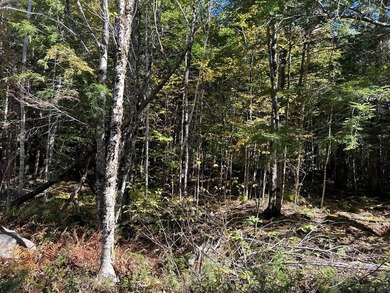 Step back into peace and beauty of the Maine woods with this 4 - photo 6