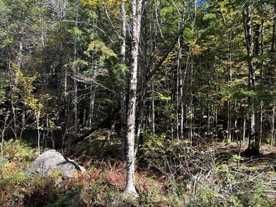 Step back into peace and beauty of the Maine woods with this 4 - photo 8