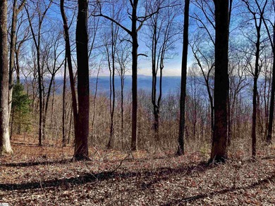 North Saluda Reservoir Acreage For Sale in Travelers Rest South Carolina