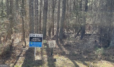 Lake Russell Acreage For Sale in Elberton Georgia