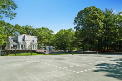 Experience luxury living in this renovated, resort-style mini - photo 11