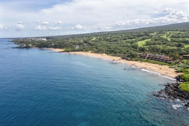 Escape to your own serene tropical sanctuary with gorgeous ocean - photo 19