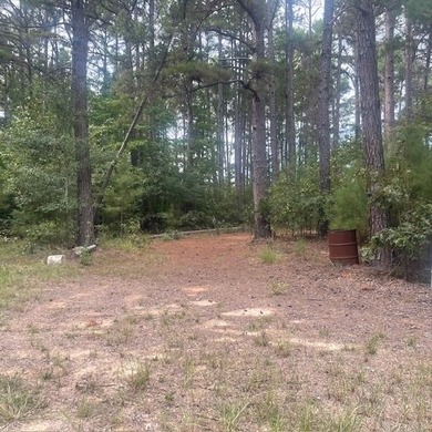 (private lake, pond, creek) Home For Sale in Mineola Texas