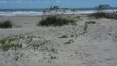 Live in Paradise! Beach, Boats, Kayaks, Cruises, Shopping - photo 21