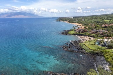 Escape to your own serene tropical sanctuary with gorgeous ocean - photo 27