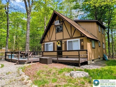 Turnkey 4 Bedroom, 2 bath, Arrowhead Lake chalet just a short - photo 1