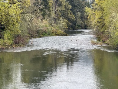 (private lake, pond, creek) Home For Sale in Dorena Oregon