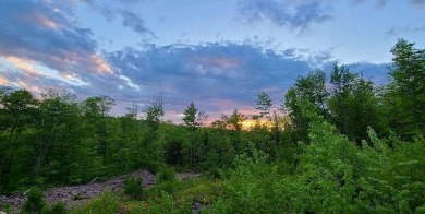 Great Pond - Kennebec County Acreage For Sale in Rome Maine