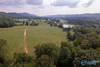 Lake Acreage For Sale in Collinsville, Alabama