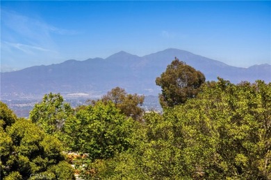 4025 Calle Sonora Este 3E - photo 22