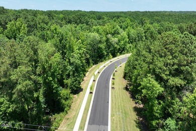 Located at 428 Ember Street in The Townes at Galvins Ridge, this - photo 39
