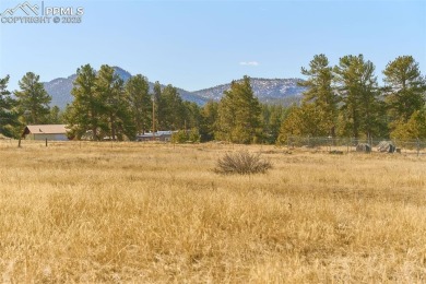 Lake Lot For Sale in Lake George, Colorado
