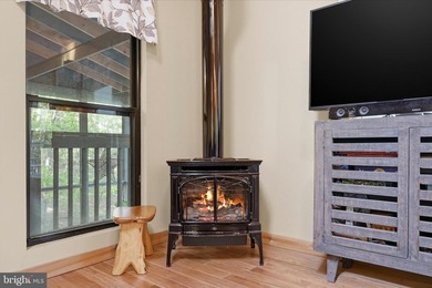 Rarely do you find a completely renovated mountain cabin with a - photo 17