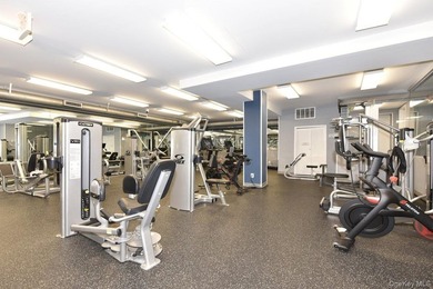 Welcome to 18-15 215th Street, Apartment #9J, a beautifully - photo 27