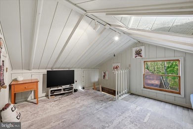 Rarely do you find a completely renovated mountain cabin with a - photo 29
