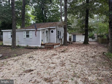 (private lake, pond, coastal) Home For Sale in Millsboro Delaware