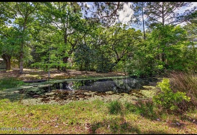 This home is tucked away on a 3 acre parcel. This charming 2 - photo 35