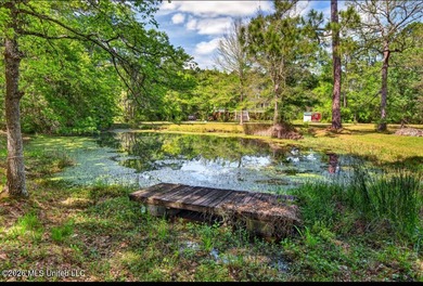 This home is tucked away on a 3 acre parcel. This charming 2 - photo 36
