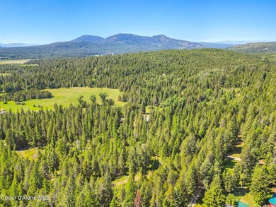 Behold a scarce opportunity with large acreage! This stunning - photo 39