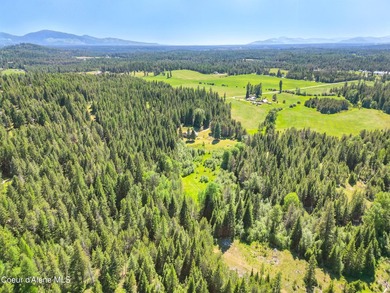 Behold a scarce opportunity with large acreage! This stunning - photo 42