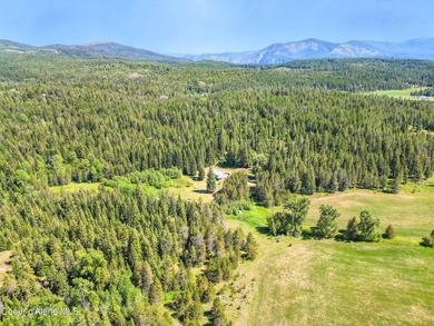 Behold a scarce opportunity with large acreage! This stunning - photo 44