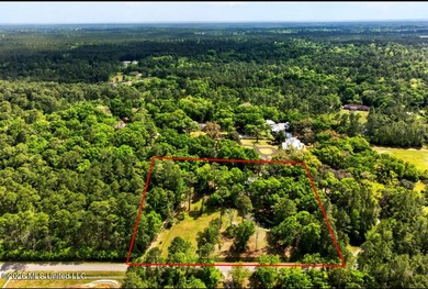 This home is tucked away on a 3 acre parcel. This charming 2 - photo 44