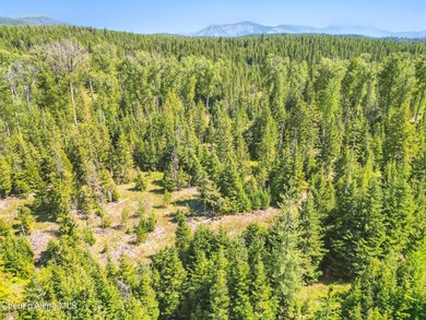 Behold a scarce opportunity with large acreage! This stunning - photo 46