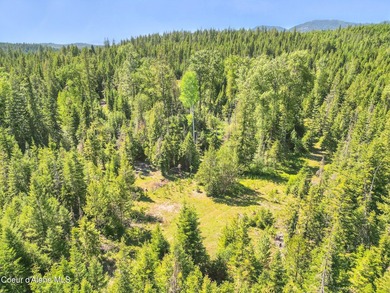Behold a scarce opportunity with large acreage! This stunning - photo 49