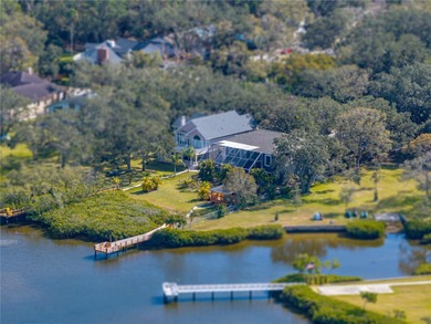 Your dream home awaits in the heart of coveted Safety Harbor! - photo 1