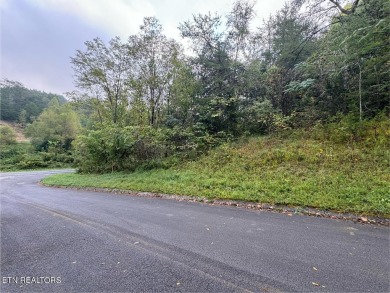 Lake Acreage For Sale in Sevierville, Tennessee