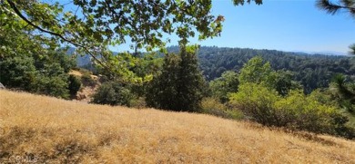 Lake Gregory Lot For Sale in Crestline California