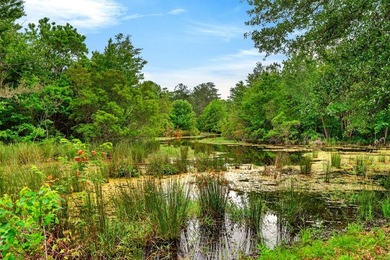 Secluded from the road and situated on 2.91 beautiful acres this - photo 38