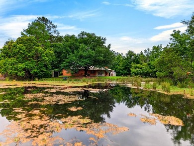 Secluded from the road and situated on 2.91 beautiful acres this - photo 40
