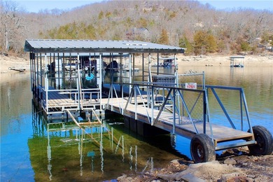 Lakefront living at its finest on beautiful Beaver Lake! This - photo 49