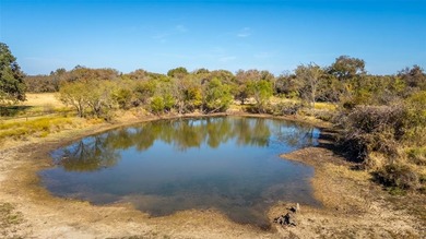 (private lake, pond, coastal) Acreage Active Under Contract in Bridgeport Texas