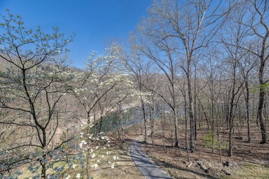 Lakefront living at its finest on beautiful Beaver Lake! This - photo 53
