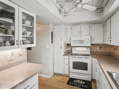 Updated 2 bedroom, 2 bath second floor unit has Vinyl flooring - photo 7