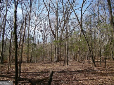 Lot 26 - Stunning huge 4.66 acre lot with huge mature hardwood - photo 2