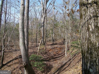 Lot 26 - Stunning huge 4.66 acre lot with huge mature hardwood - photo 3