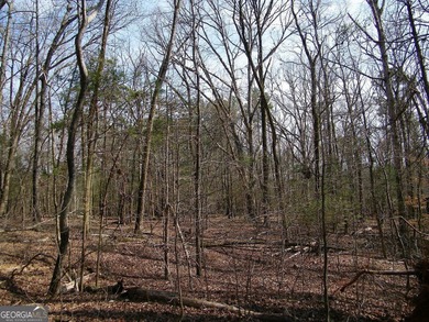 Lot 26 - Stunning huge 4.66 acre lot with huge mature hardwood - photo 4