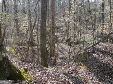 Lot 26 - Stunning huge 4.66 acre lot with huge mature hardwood - photo 6