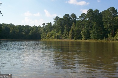 Lot 26 - Stunning huge 4.66 acre lot with huge mature hardwood - photo 8