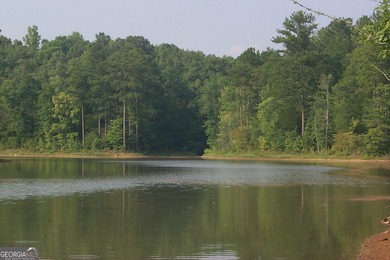 Lot 26 - Stunning huge 4.66 acre lot with huge mature hardwood - photo 9