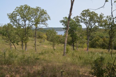 Table Rock Lake Lot For Sale in Lampe Missouri