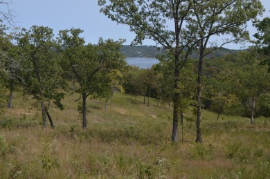 Table Rock Lake Lot For Sale in Lampe Missouri