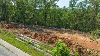 Location is everything, and this is your chance to build a dream - photo 8