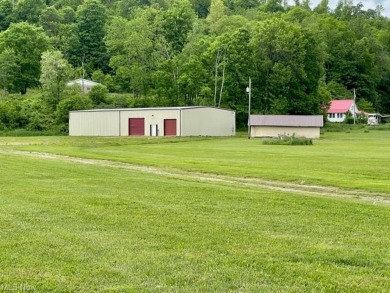 Piedmont Lake Commercial For Sale in Piedmont Ohio