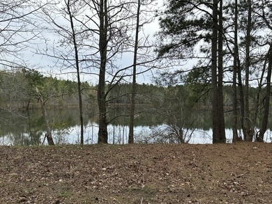 (private lake, pond, coastal) Acreage For Sale in Mardela Springs Maryland