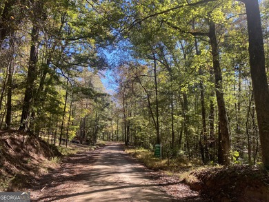 (private lake, pond, creek) Acreage For Sale in Forsyth Georgia