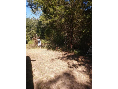 Cedar Creek Lake Lot For Sale in Malakoff Texas